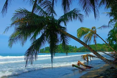 Punta Uva Beach Summer Beach Wallpapers   1366x768 Wallpapers ...