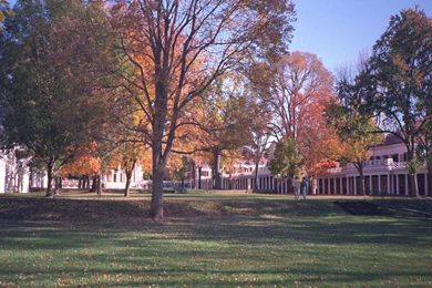 John's Screen Backgrounds