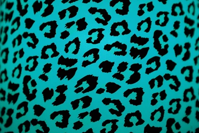 Free Leopard Print Wallpapers