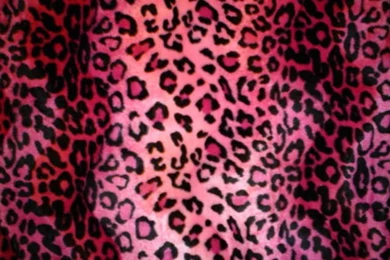 Leopard Print Wallpapers   Wallpapers Zone