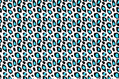 Blue And Pink Leopard Print Wallpapers   Danasrhp.top