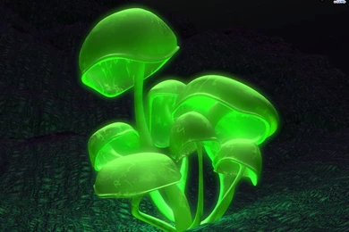 Wallpapers I Love You Flowers Cars Indian Girls Best 1152x864 ...