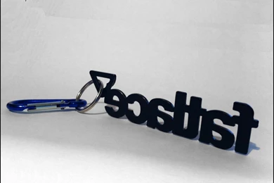 RePin Image: Fatlace Livery Contest Winner! On Pinterest