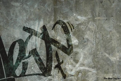 New Looks   Fatlace™ Since 1999