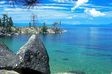 Wonderful Wallpapers   Crazy Frankenstein