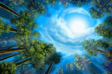 Wonderful Images Collection (38+)