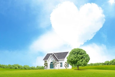 Wonderful Nature Hd Wallpapers Download Wallpapers Page