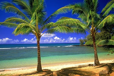 Tropical Beach Wallpapers Photo For Desktop Backgrounds   Ndemok.com