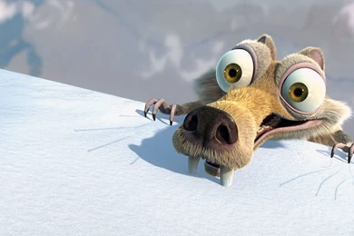 Desktop Widescreen Wallpaper.jpg