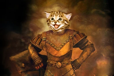 Funny For Tumblr – BUZZERG