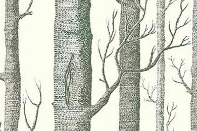 Rubikanja Fashion: Dave Matthews Band Wallpapers