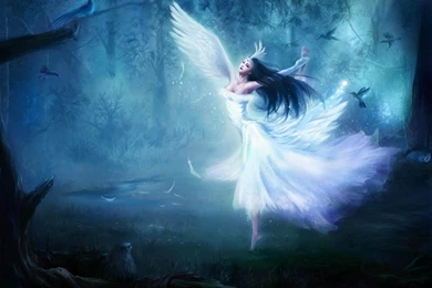 Fairy Backgrounds Free Download