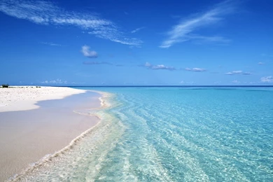 Tropical Beach Wallpapers (20 Photos)