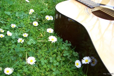 Best Acoustic Guitar Wallpapers Hd