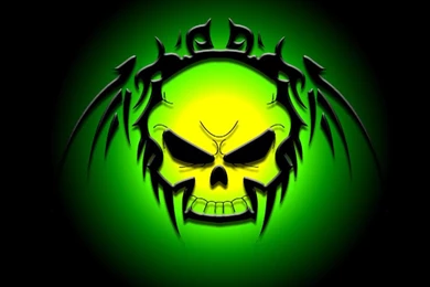 Images And Videos For This Album