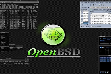 Your OpenBSD Screenshot   DaemonForums