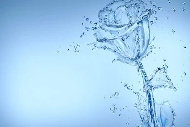 Water Rose Backgrounds