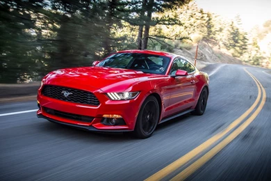 Mustang Free Wallpapers 15627   HD Wallpapers Site