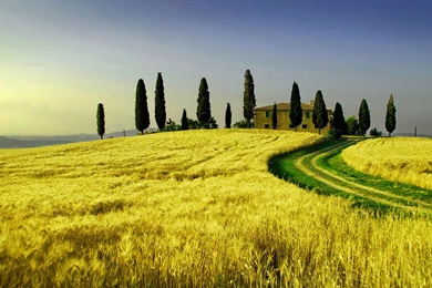 Tuscany Prairie Beauty HD Wallpapers 9 － Landscape Wallpapers ...