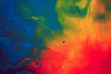 No Beauty Without Colour Art Hd Wallpapers Wallpapers