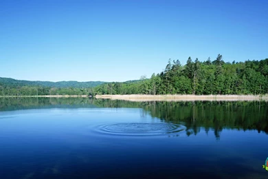 Cool Nature Wallpapers HD   Wallpapers Cave