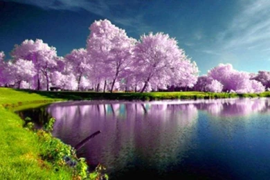 Beautiful Nature Wallpapers Desktop Background,desktop Wallpapers