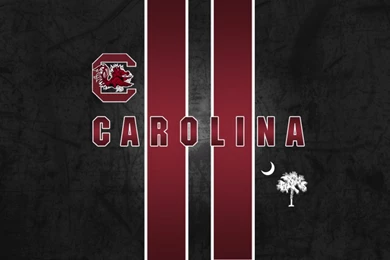 Gamecocks Wallpapers   Wallpapers Zone