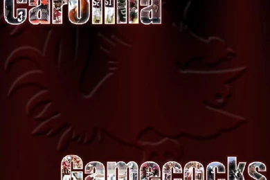 Gamecock Football Wallpapers   Page 13   CockyTalk