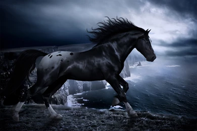 Dark Horse Wallpapers For PC