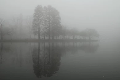 Fog Backgrounds Related Keywords & Suggestions Fog Backgrounds ...