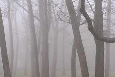 Foggy Backgrounds 5 By Loopyker stock On DeviantArt