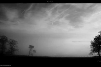 Wallpaper, Landscape, Photography, Foggy, Valley (