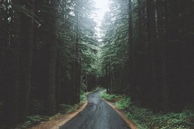 Alternative, Art, Background, Beautiful, Dark, Dream, Dreamy, Fog ...