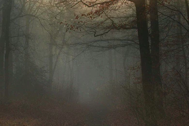 Art, Awesome, Background, Beautiful, Beauty, Dark, Dream, Fog ...