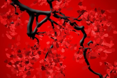 Red iPhone 6 Wallpapers 27656   Other iPhone 6 Wallpapers   Other ...