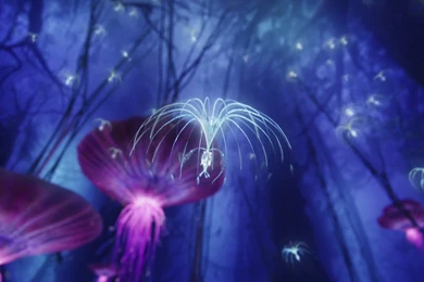 Avatar, Movie, Pictures, Freewallpapers, Wallpapers, Desktops ...