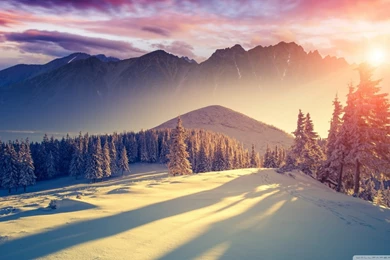 Winter Wallpapers Best Wallpapers