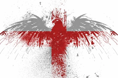 England Paint Hawk Wallpapers   (