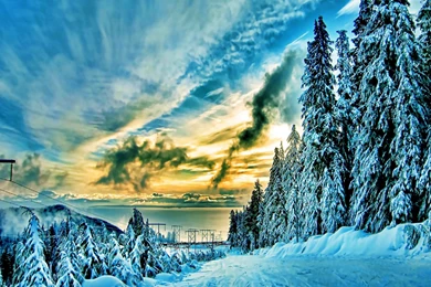 Winter: Beauty Winter Sky Nature Trees Landscapes Forest Desktop ...