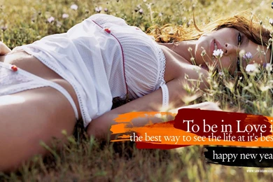 Sexy New Year Wallpapers 2015   Grasscloth Wallpapers