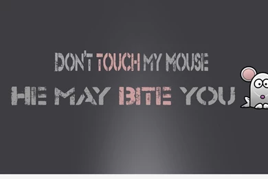 Humorous Desktop Wallpapers, Backgrounds With Quotes