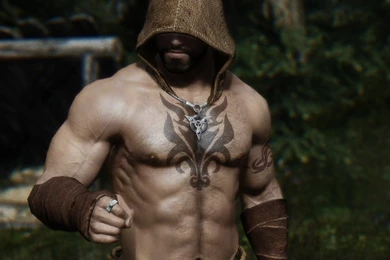 Skyrim Nexus Mods And Community