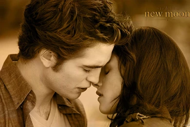 Twilight, Wallpaper, Emmett, Change, Pictures, Series, Cullen ...