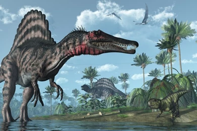 Compare Prices On Wall Paper Bedroom Of Dinosaurs  Online Shopping ...