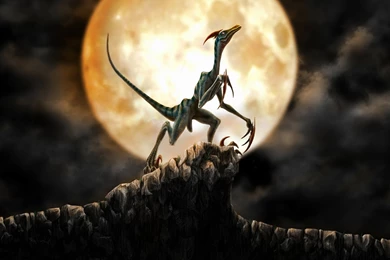 Beautiful Dinosaurs Wallpapers