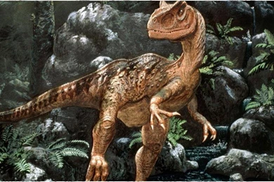 Dinosaur Wallpapers   Android Apps On Google Play