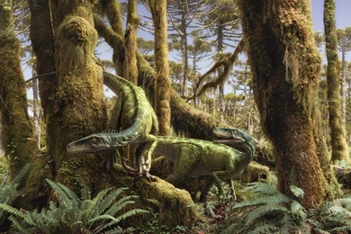 Download Dinosaur Wallpapers 9055 1920x1080 Px High Resolution ...