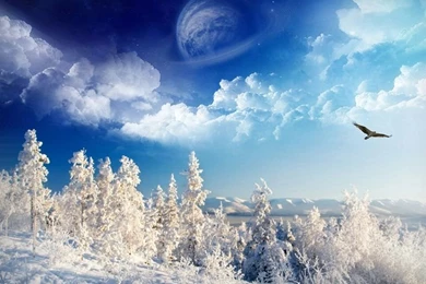 Zedge+wallpapers+for+desktop+free