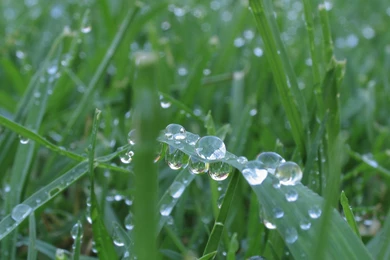 Windows 7 Wallpapers Zedge