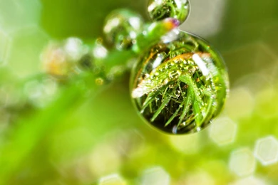 Free iPad 3 HD Wallpapers Retina Desktop Backgrounds Apple 2048 ...